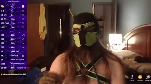 kinkywolf87 online show from October 19, 2025, 5:30 am