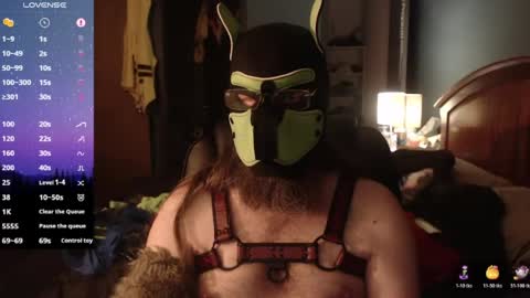 Snapshot of kinkywolf87 chatting on June 14, 2026, 3:08 am kinkywolf87 online show from June 14, 2026, 3:08 am
