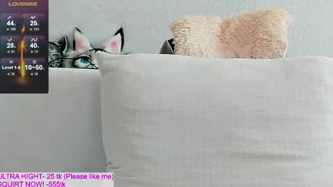 Kitty online show from April 14, 2026, 10:54 am