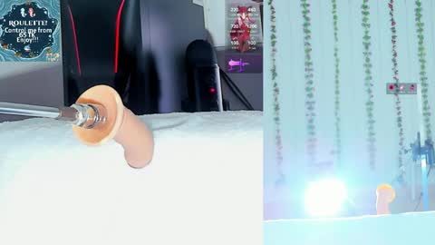 Kitty online show from April 5, 2026, 10:01 am