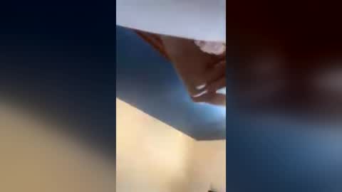 kitty_kat77 online show from July 22, 2026, 8:11 pm