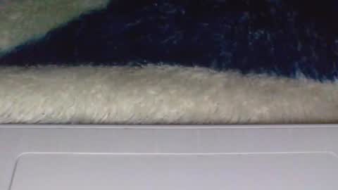 Snapshot of kittybear01 chatting on February 11, 2025, 10:50 pm ana online show from February 11, 2025, 10:50 pm