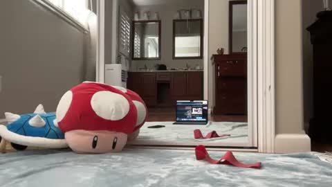 kittypurr79 online show from January 11, 2025, 9:04 pm