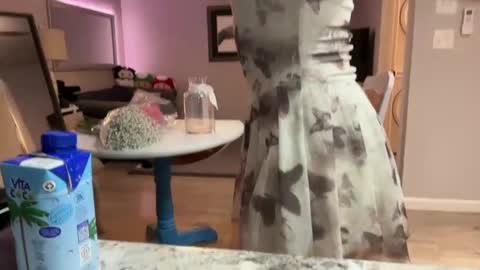 kittypurr79 online show from September 30, 2025, 3:11 am