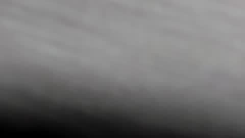  K I T T  Y  online show from February 1, 2025, 11:21 am