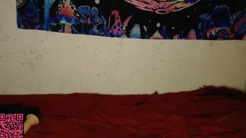 konekokawai online show from February 13, 2025, 11:15 pm