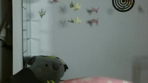 Karoll online show from January 13, 2026, 1:11 am