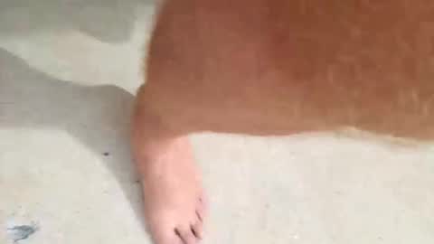 kramit1222 online show from September 24, 2025, 4:43 pm