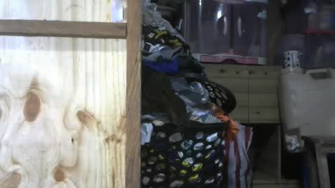 Snapshot of krishasweet chatting on December 11, 2024, 3:58 pm krishasweet online show from December 11, 2024, 3:58 pm