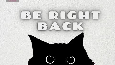   online show from March 4, 2026, 3:56 am