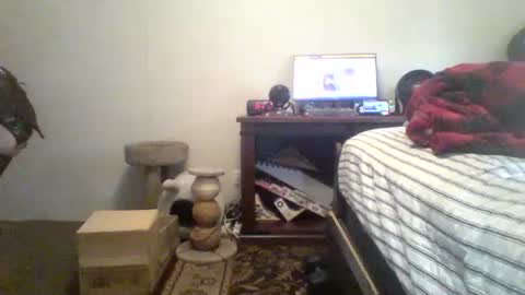 Snapshot of krystalizedkitsune chatting on July 20, 2026, 11:29 pm krystalizedkitsune online show from July 20, 2026, 11:29 pm