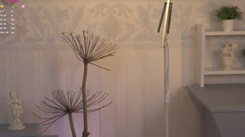 Ksesha online show from February 6, 2025, 3:48 am