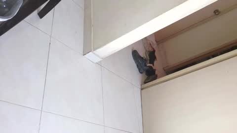 Bruno Smith online show from December 20, 2025, 6:04 pm