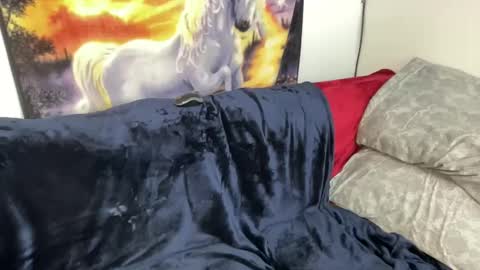 Snapshot of lacy8vankort chatting on February 8, 2025, 8:53 pm Lacy8Vankort online show from February 8, 2025, 8:53 pm