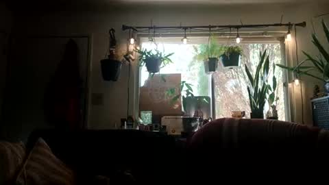 lacybell online show from September 21, 2025, 10:11 pm