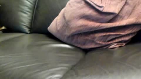 tomtom online show from March 8, 2025, 7:53 pm