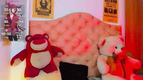 Snapshot of ladynoah chatting on January 15, 2026, 5:05 pm Noah Smith online show from January 15, 2026, 5:05 pm