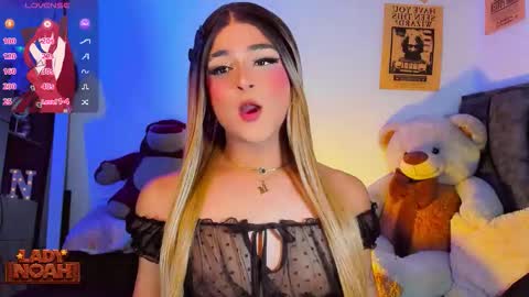 Snapshot of ladynoah chatting on February 12, 2026, 12:16 am Noah Smith online show from February 12, 2026, 12:16 am