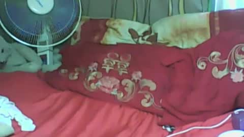 LadyXSnakes online show from January 21, 2025, 8:19 am