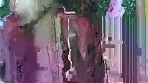 LadyXSnakes online show from September 21, 2025, 4:03 am