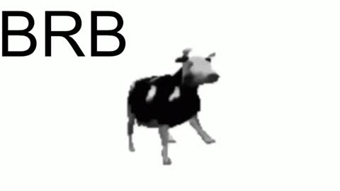 just call me Lana  and her security online show from January 23, 2025, 2:28 pm