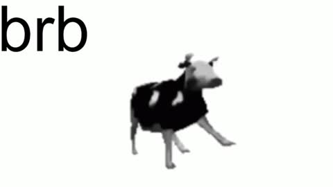 just call me Lana  and her security online show from February 7, 2025, 11:12 am