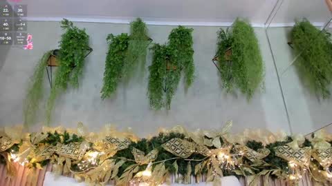 lana_lann online show from December 22, 2024, 1:55 pm