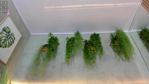 lana_lann online show from January 9, 2025, 3:34 pm