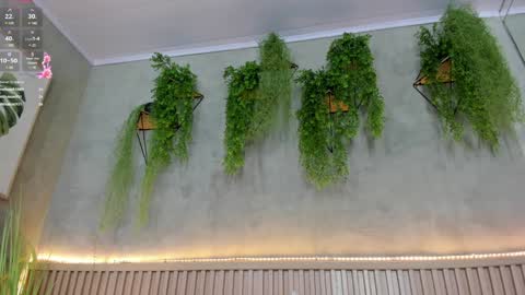 lana_lann online show from January 10, 2025, 5:56 pm