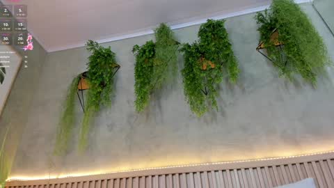 lana_lann online show from February 8, 2025, 3:42 pm