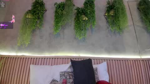 lana_lann online show from February 14, 2025, 2:54 pm