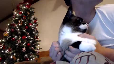 Lance online show from December 30, 2024, 1:04 am