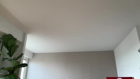 Lanimal online show from March 10, 2026, 1:05 pm