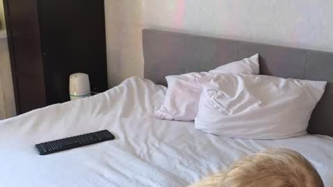 LarineGMT7  UTC6  online show from April 11, 2026, 7:35 am