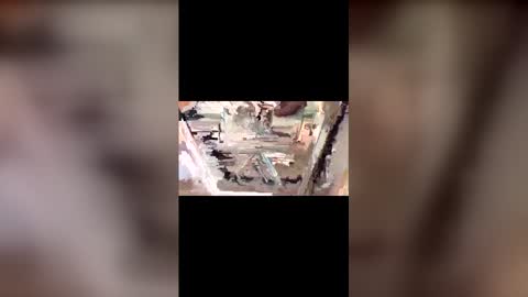 latinbulldaddy88036 online show from March 9, 2026, 9:08 pm