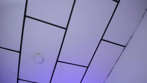 LAURA online show from December 24, 2024, 1:50 pm