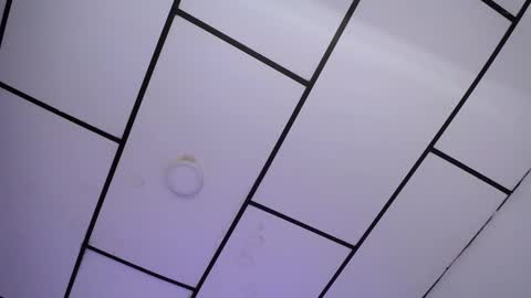 LAURA online show from January 18, 2025, 5:37 pm