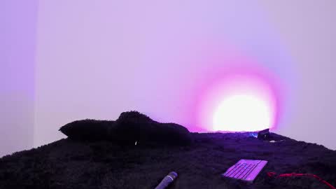 laurensmith9 online show from September 26, 2025, 12:42 pm