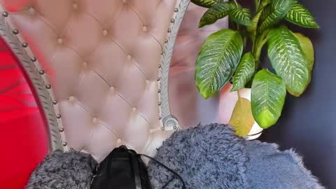 Layla online show from October 26, 2025, 6:47 pm