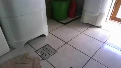 kelly online show from March 7, 2025, 9:27 pm