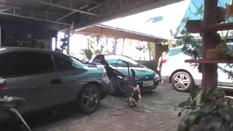 kelly online show from April 19, 2026, 5:56 pm