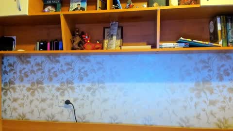 Vladi online show from December 29, 2024, 9:17 am