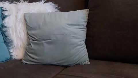 Snapshot of lazlow2000 chatting on January 7, 2026, 7:44 am lazlow2000 online show from January 7, 2026, 7:44 am