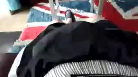 Snapshot of leatherpants68 chatting on July 17, 2026, 9:05 am leatherpants68 online show from July 17, 2026, 9:05 am