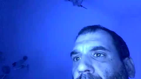 Snapshot of lechebizvm chatting on November 4, 2025, 11:37 pm lechebizvm online show from November 4, 2025, 11:37 pm