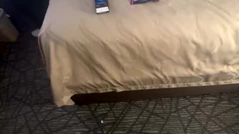 leearonn12 online show from February 1, 2026, 10:03 am