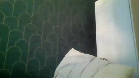 leeuwarder12 online show from November 20, 2025, 7:35 pm