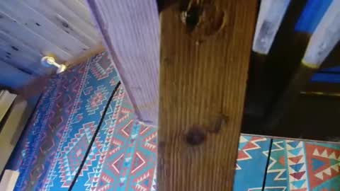 Dliciousman online show from December 19, 2024, 5:50 pm