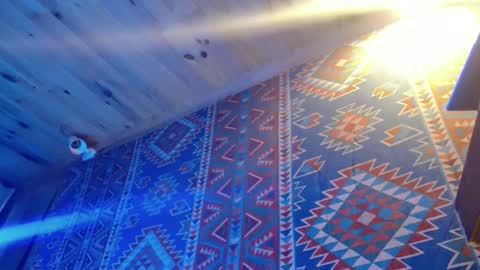 Dliciousman online show from February 20, 2025, 10:37 pm