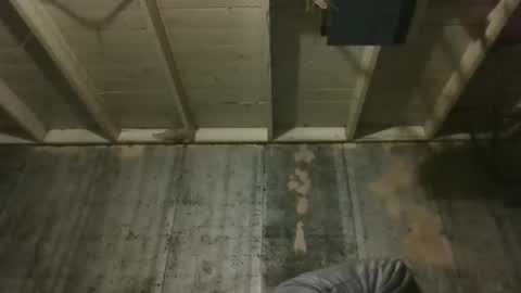 leo199984 online show from December 19, 2025, 3:24 am